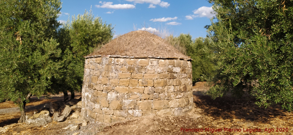 Caracol Casa - Caracol Casa. 