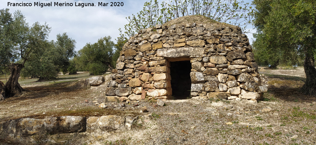 Caracol de los Prietos - Caracol de los Prietos. 