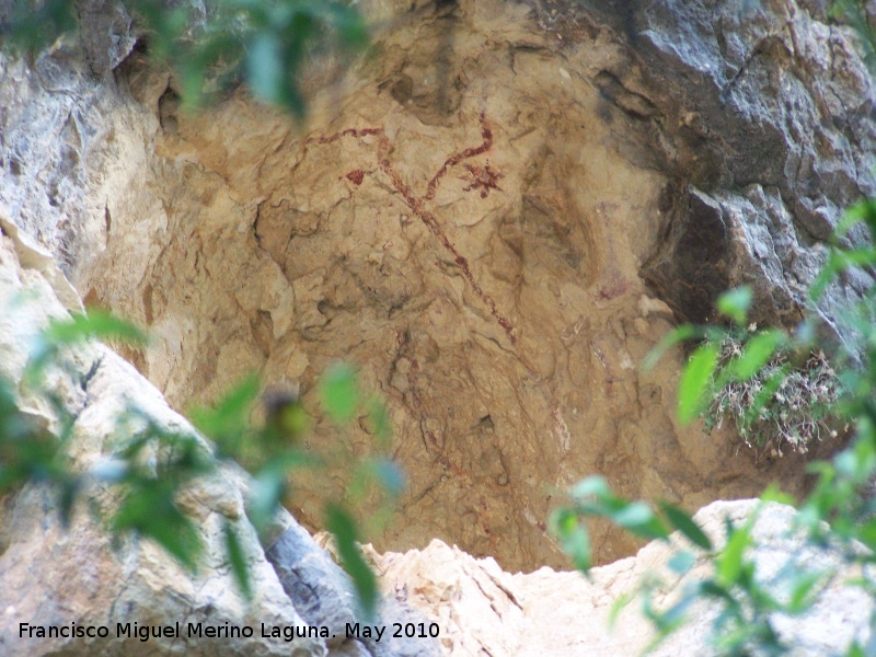 Pinturas rupestres de la Cueva del Sureste del Canjorro - Pinturas rupestres de la Cueva del Sureste del Canjorro. 