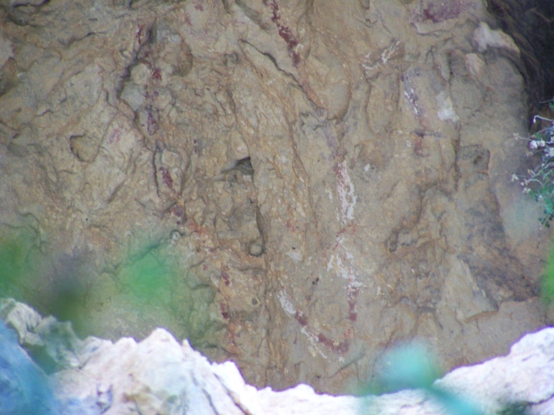 Pinturas rupestres de la Cueva del Sureste del Canjorro - Pinturas rupestres de la Cueva del Sureste del Canjorro. Parte baja de la figura mayor