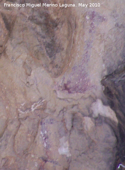 Pinturas rupestres de la Cueva del Sureste del Canjorro - Pinturas rupestres de la Cueva del Sureste del Canjorro. Pinturas a la derecha del la figura mayor