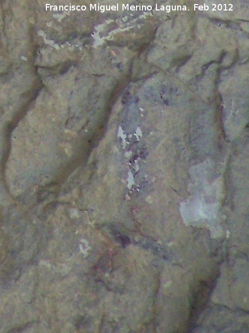Pinturas rupestres de la Cueva del Sureste del Canjorro - Pinturas rupestres de la Cueva del Sureste del Canjorro. Antropomorfo derecho