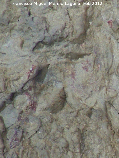 Pinturas rupestres de la Cueva del Sureste del Canjorro - Pinturas rupestres de la Cueva del Sureste del Canjorro. Manchas techo izquierda