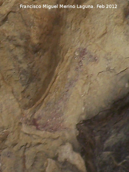 Pinturas rupestres de la Cueva del Sureste del Canjorro - Pinturas rupestres de la Cueva del Sureste del Canjorro. Figura techo derecha