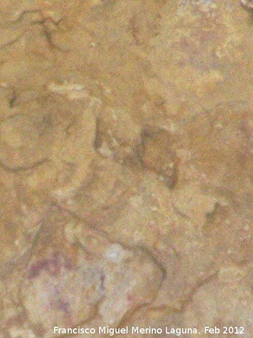 Pinturas rupestres de la Cueva del Sureste del Canjorro - Pinturas rupestres de la Cueva del Sureste del Canjorro. Antropomorfo y estrella de la pared izquierda