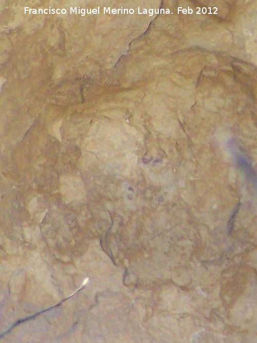 Pinturas rupestres de la Cueva del Sureste del Canjorro - Pinturas rupestres de la Cueva del Sureste del Canjorro. Puntos de la pared izquierda