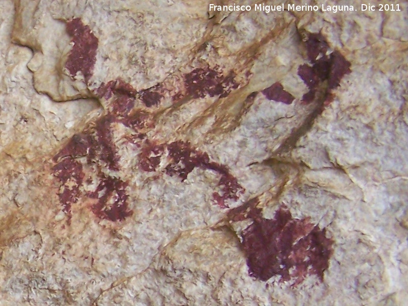 Pinturas rupestres de la Cueva de los Molinos - Pinturas rupestres de la Cueva de los Molinos. Arquero