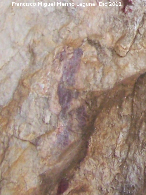 Pinturas rupestres de la Cueva de los Molinos - Pinturas rupestres de la Cueva de los Molinos. Zooformo