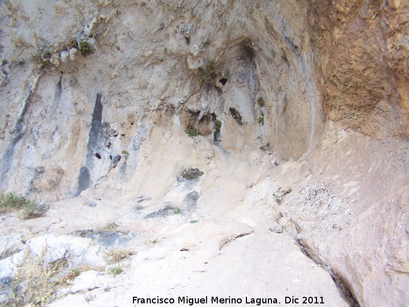 Pinturas rupestres de la Cueva de los Molinos - Pinturas rupestres de la Cueva de los Molinos. Abrigo