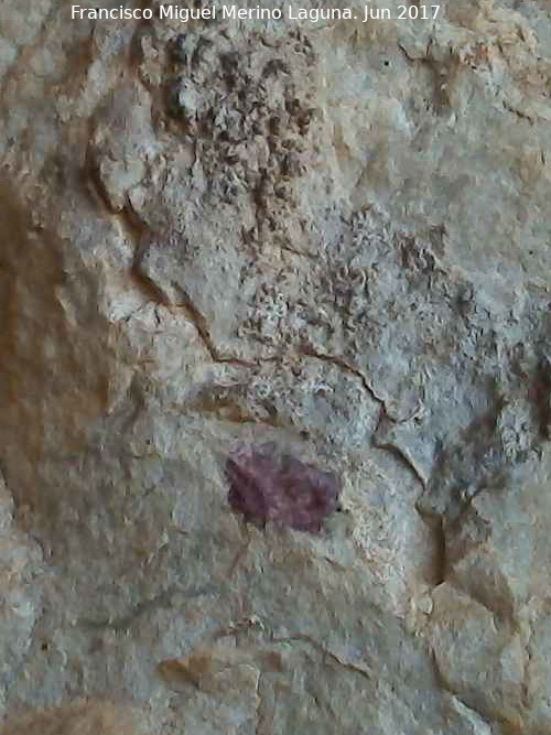 Pinturas rupestres de la Cueva de los Molinos - Pinturas rupestres de la Cueva de los Molinos. Mancha