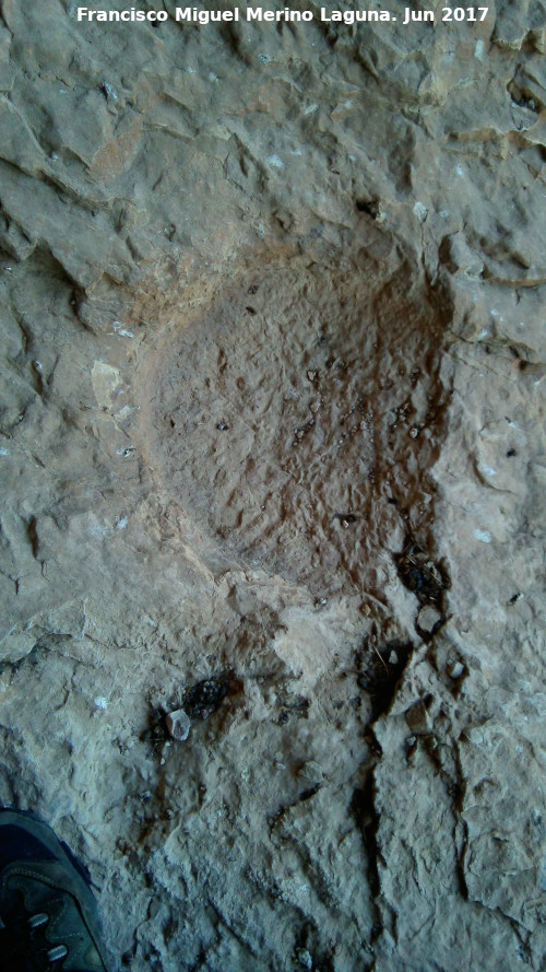 Pinturas rupestres de la Cueva de los Molinos - Pinturas rupestres de la Cueva de los Molinos. Molino