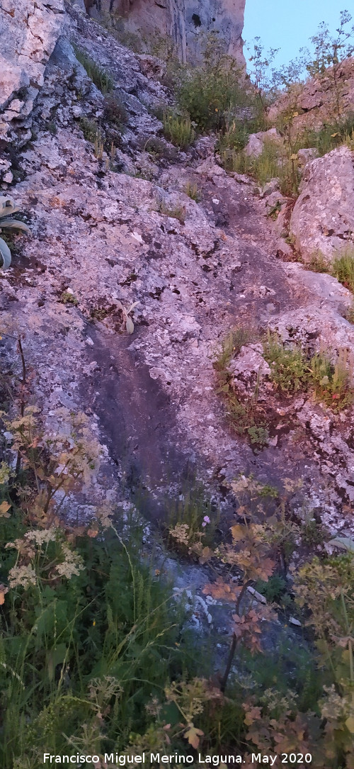Pinturas rupestres de la Cueva de los Molinos - Pinturas rupestres de la Cueva de los Molinos. Tobog�n de acceso