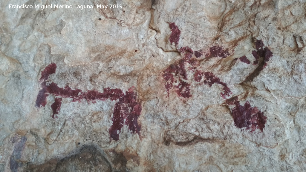 Pinturas rupestres de la Cueva de los Molinos - Pinturas rupestres de la Cueva de los Molinos. 