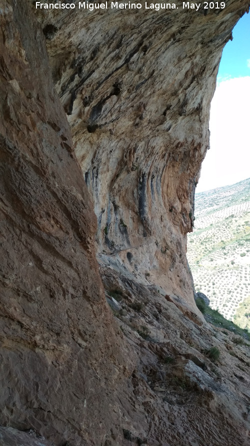 Pinturas rupestres de la Cueva de los Molinos - Pinturas rupestres de la Cueva de los Molinos. Abrigo derecho