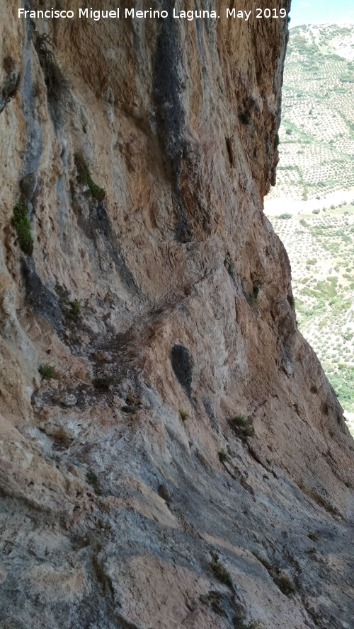 Pinturas rupestres de la Cueva de los Molinos - Pinturas rupestres de la Cueva de los Molinos. Poyo del abrigo derecho
