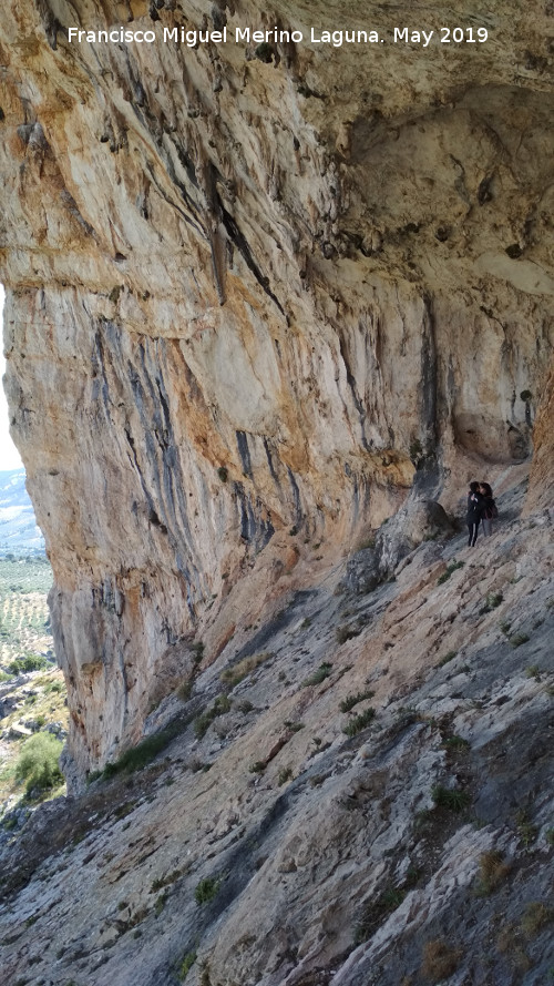 Pinturas rupestres de la Cueva de los Molinos - Pinturas rupestres de la Cueva de los Molinos. Abrigo