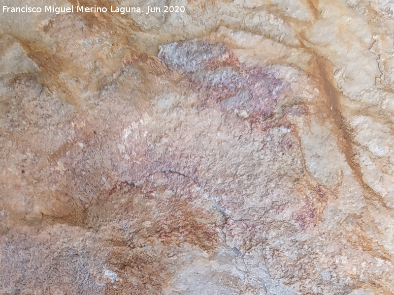 Pinturas rupestres de la Cueva de los Molinos - Pinturas rupestres de la Cueva de los Molinos. Pinturas de la pared izquierda
