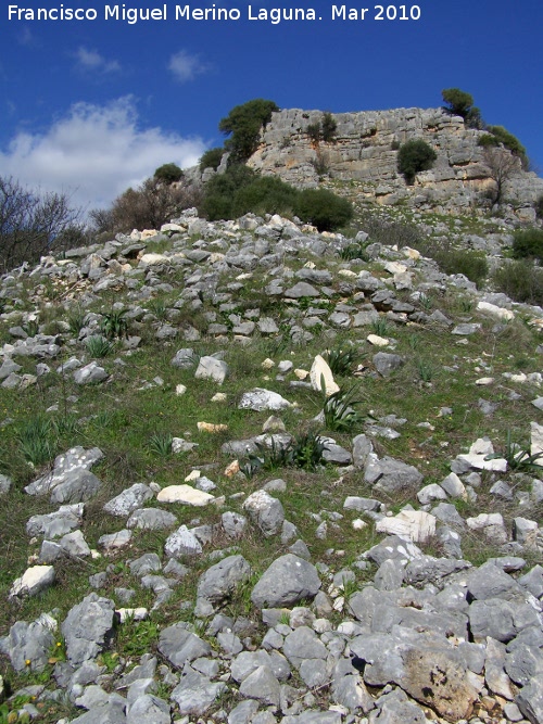Muralla del Cerro Veleta - Muralla del Cerro Veleta. Bastin