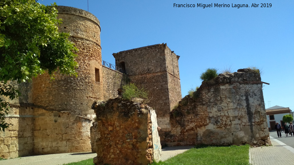 Castillo de los Guzmanes - Castillo de los Guzmanes. Lateral sur