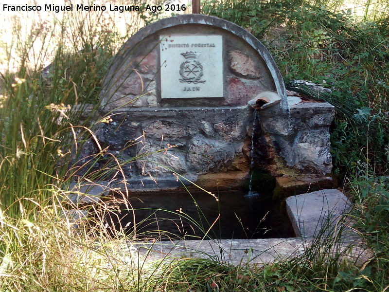 Fuente del Puntal - Fuente del Puntal. 