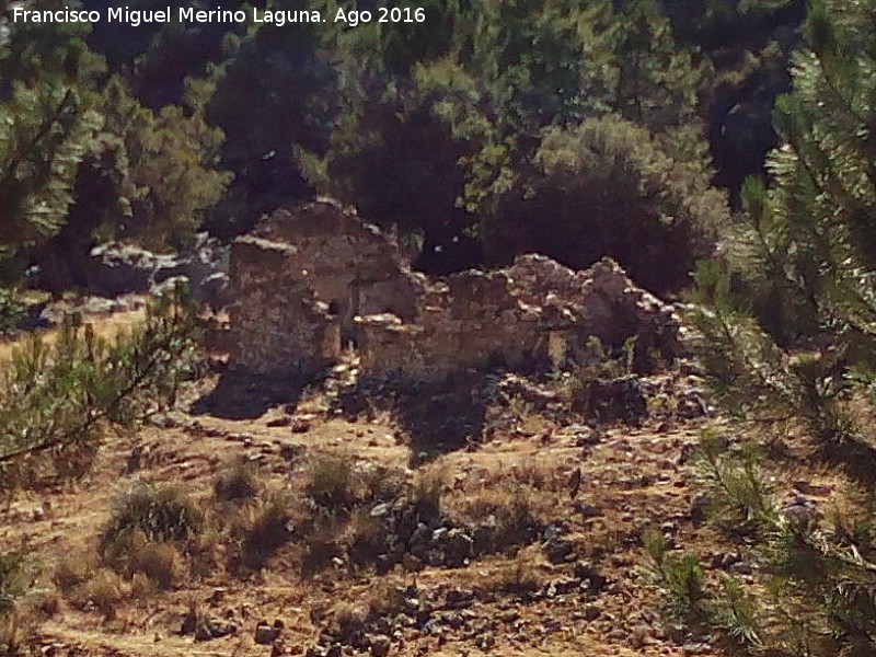 Cortijo Pelegrn - Cortijo Pelegrn. 