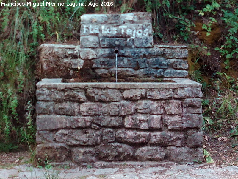 Fuente de los Tejos - Fuente de los Tejos. 