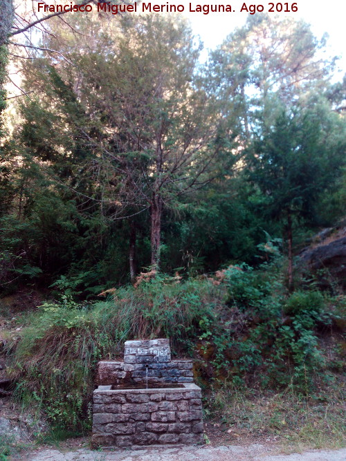 Fuente de los Tejos - Fuente de los Tejos. 