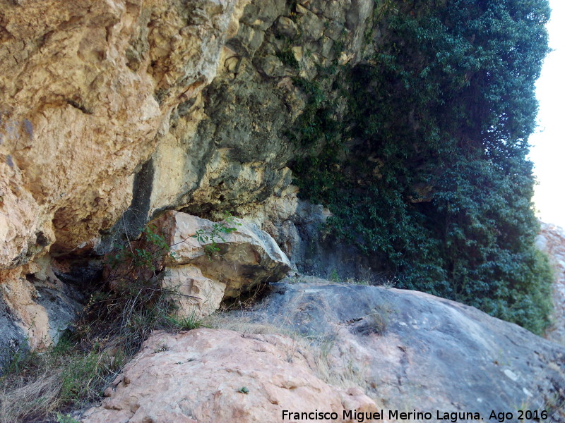 Abrigo de la Cueva del Peinero - Abrigo de la Cueva del Peinero. 
