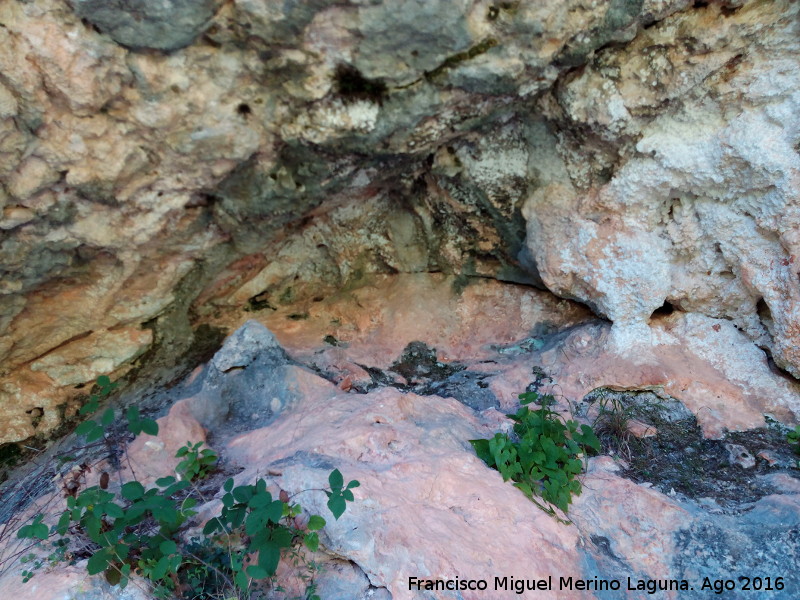 Abrigo de la Cueva del Peinero - Abrigo de la Cueva del Peinero. 