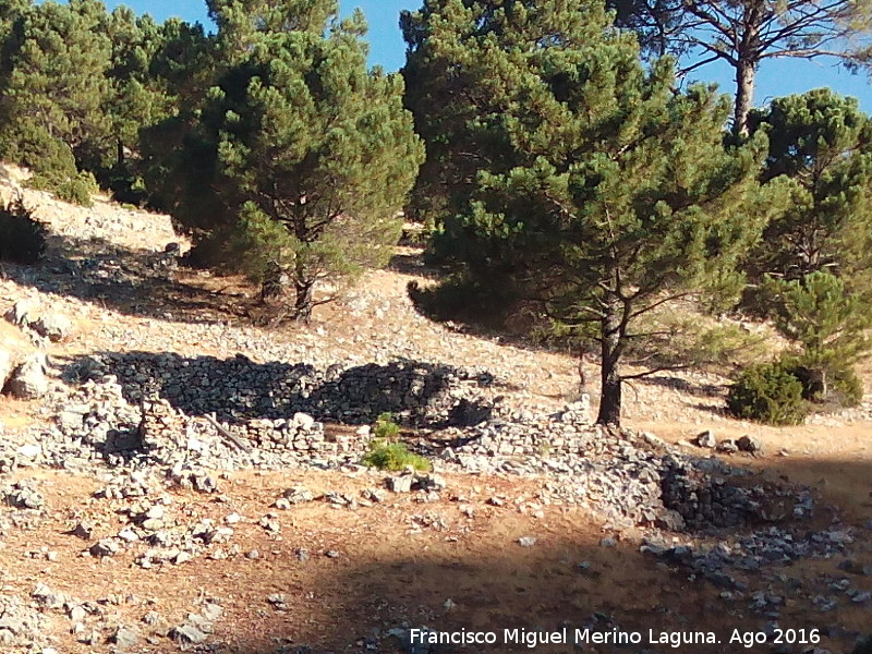 Cortijo de la Tejera - Cortijo de la Tejera. 