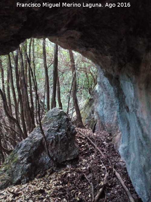 Cueva del Agrin - Cueva del Agrin. 