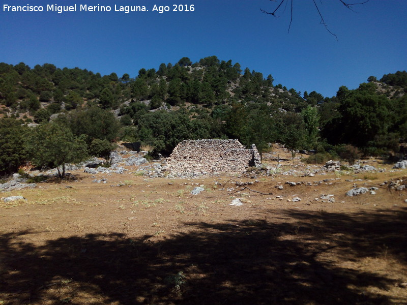 Cortijo de la Nava del Rico - Cortijo de la Nava del Rico. 