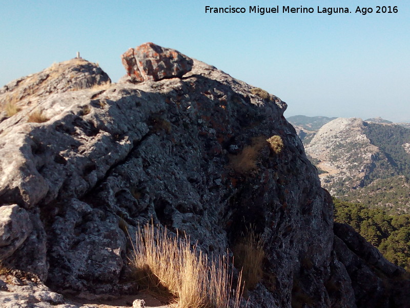 Vrtice geodsico Blanquilla - Vrtice geodsico Blanquilla. 