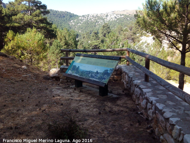 Mirador Camino del Blanquillo - Mirador Camino del Blanquillo. 