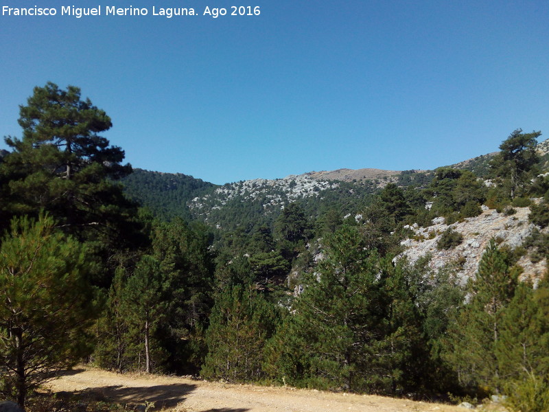 Mirador Camino del Blanquillo - Mirador Camino del Blanquillo. Vistas