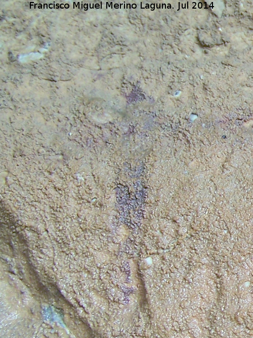 Pinturas rupestres del Abrigo de Vtor I - Pinturas rupestres del Abrigo de Vtor I. Antropomorfo en cruz
