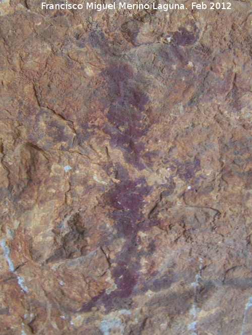 Pinturas rupestres del Abrigo de Mingo - Pinturas rupestres del Abrigo de Mingo. Ramiforme