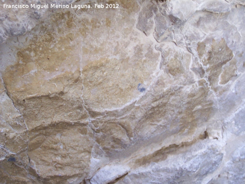 Pinturas rupestres de la Cueva de las Fras - Pinturas rupestres de la Cueva de las Fras. Puntos