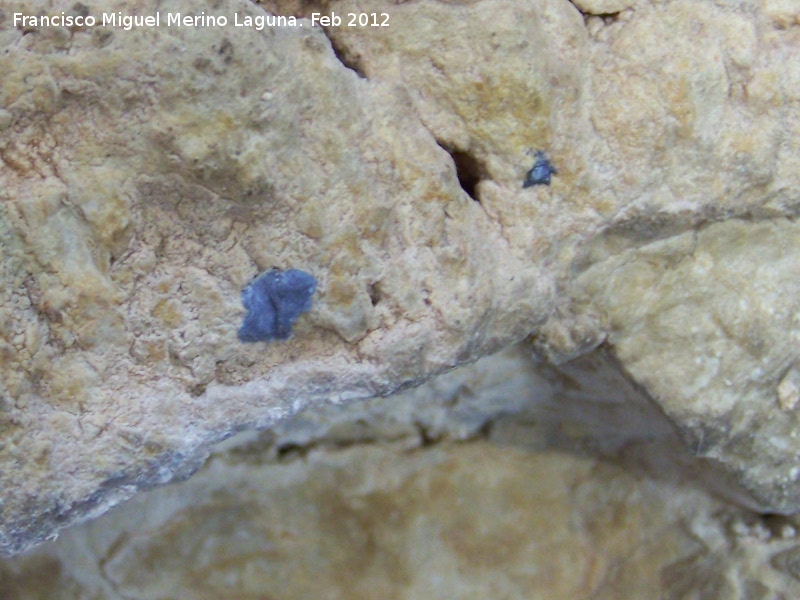 Pinturas rupestres de la Cueva de las Fras - Pinturas rupestres de la Cueva de las Fras. Puntos