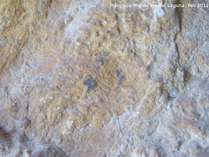 Pinturas rupestres de la Cueva de las Fras - Pinturas rupestres de la Cueva de las Fras. Puntos