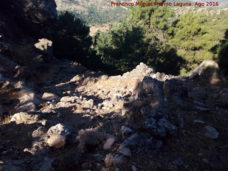 Camino de la Morra de los Pinos Blancos - Camino de la Morra de los Pinos Blancos. 