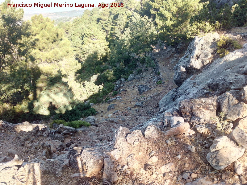 Camino de la Morra de los Pinos Blancos - Camino de la Morra de los Pinos Blancos. 