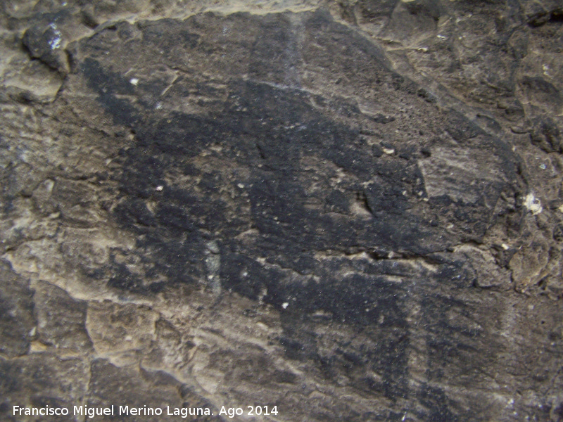 Pinturas rupestres del Abrigo I del To Serafn - Pinturas rupestres del Abrigo I del To Serafn. Oculado. Grupo V