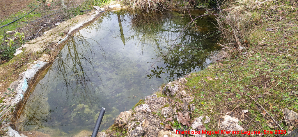 Fuentes de los Castellones del Valle - Fuentes de los Castellones del Valle. Alberca