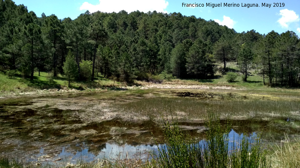 Laguna de Orcera - Laguna de Orcera. 