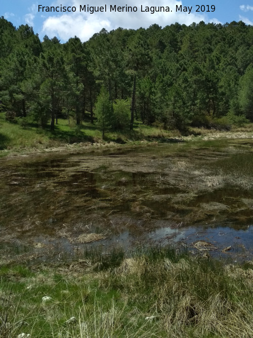 Laguna de Orcera - Laguna de Orcera. 