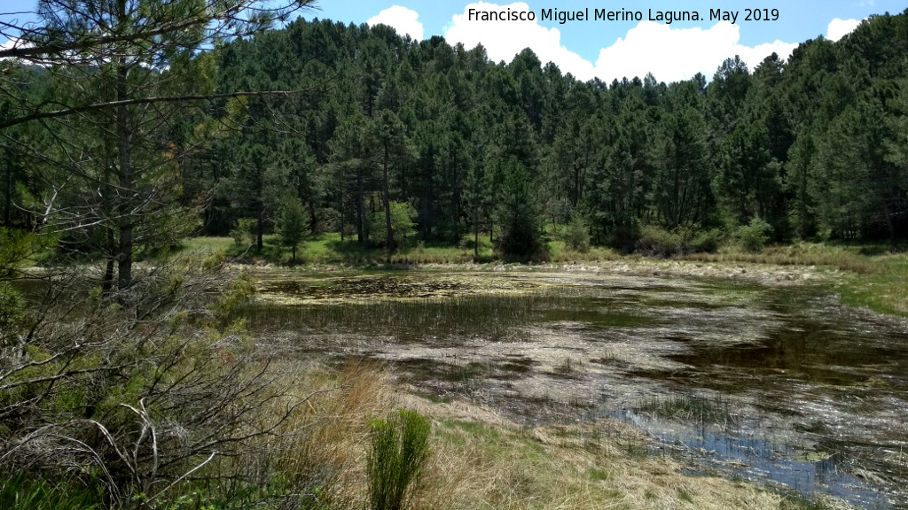 Laguna de Orcera - Laguna de Orcera. 