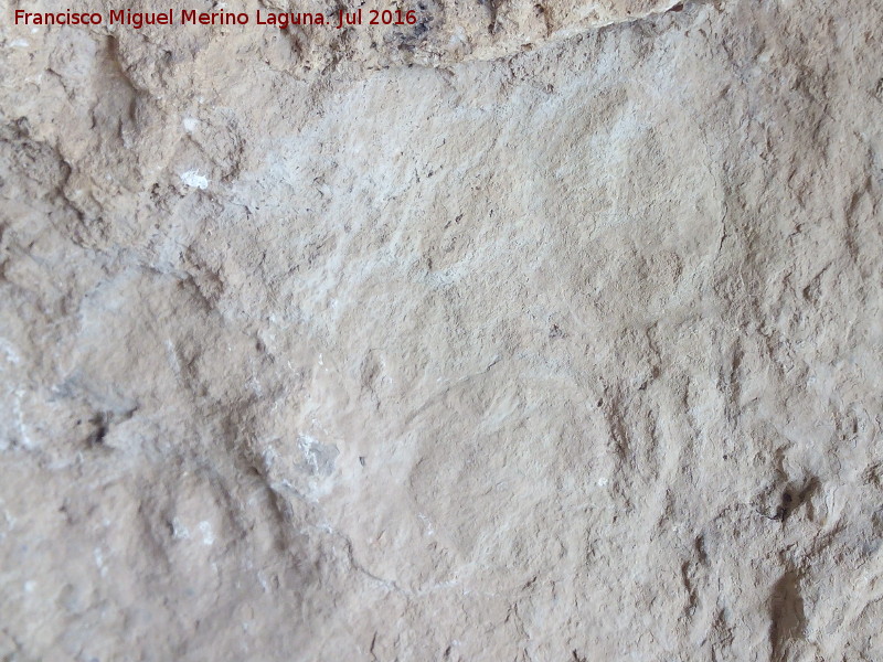 Pinturas y petroglifos rupestres de la Cueva del Encajero - Pinturas y petroglifos rupestres de la Cueva del Encajero. Restos de petroglifos de crculos concntricos