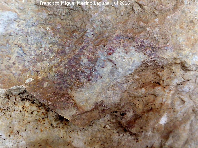 Pinturas y petroglifos rupestres de la Cueva del Encajero - Pinturas y petroglifos rupestres de la Cueva del Encajero. Figura indeterminada
