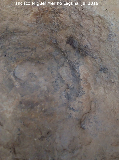 Pinturas y petroglifos rupestres de la Cueva del Encajero - Pinturas y petroglifos rupestres de la Cueva del Encajero. Petroglifo de crculos concentricos